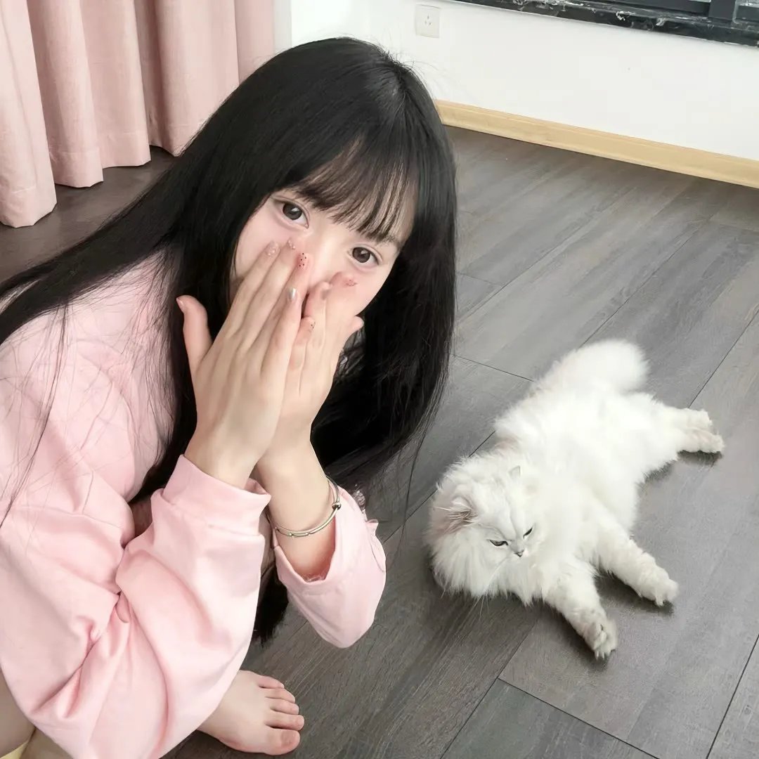 龙日—你死定了